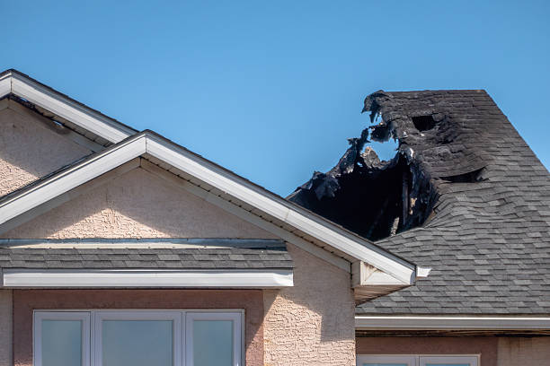 Top rated local Odor Removal specialists in Hanover, MN